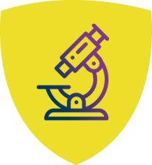 Curriculum Icon